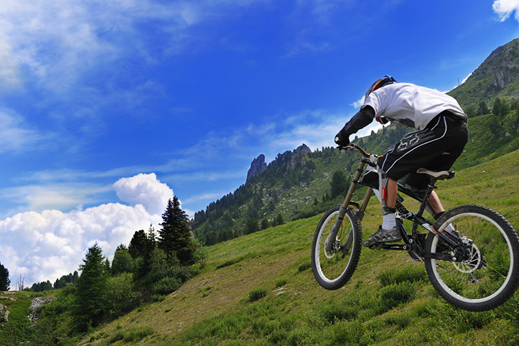 Chalet Champion Chamonix Vtt